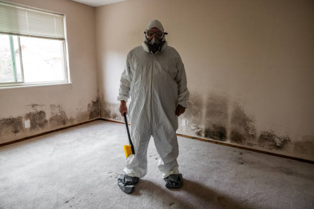 Best Emergency Mold Remediation in Mcadoo, PA